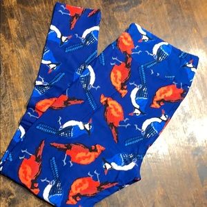 LuLaRoe Blue Jay & Cardinal leggings size TC